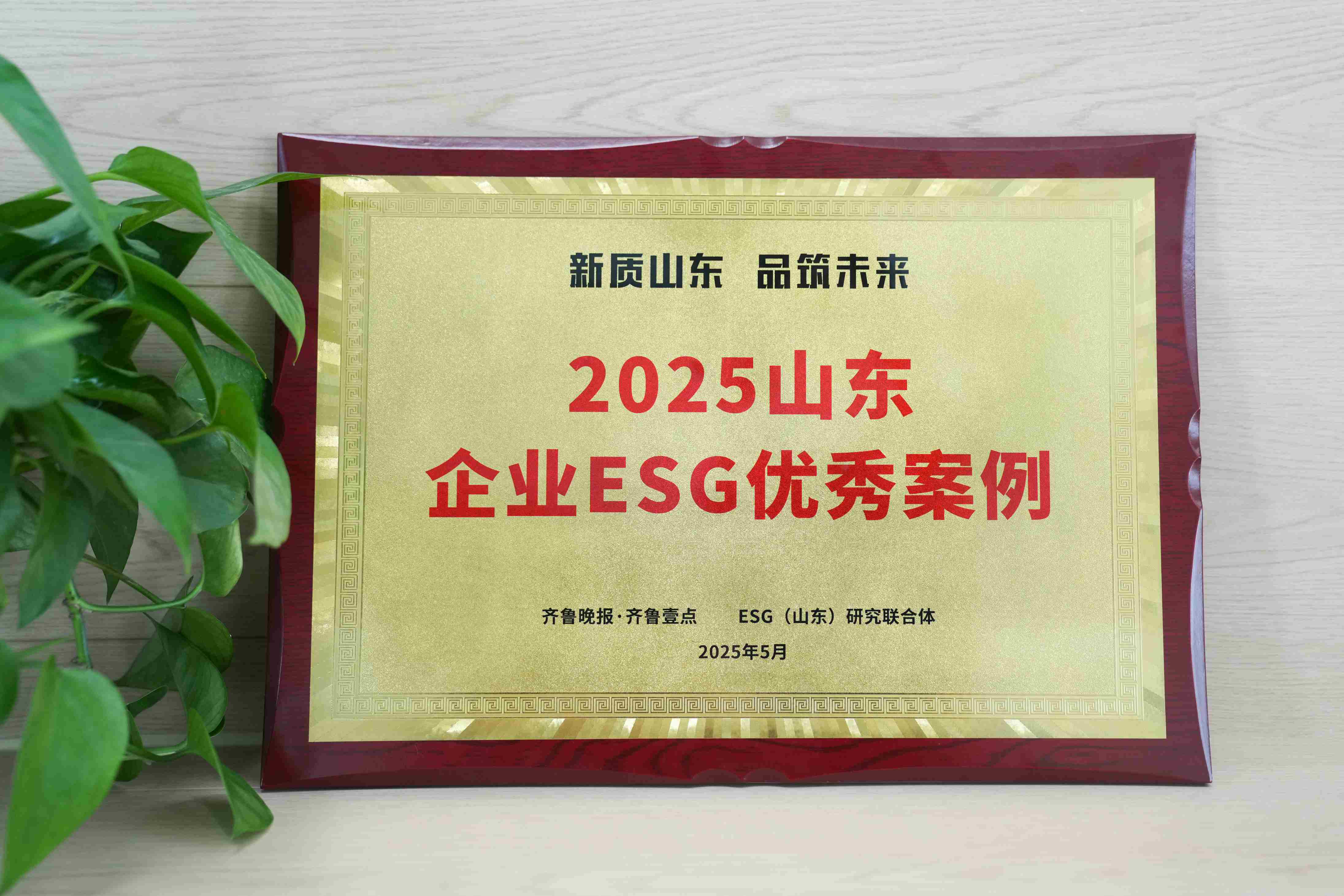 ̫tcy8722ҽѡ2025ɽҵESG참